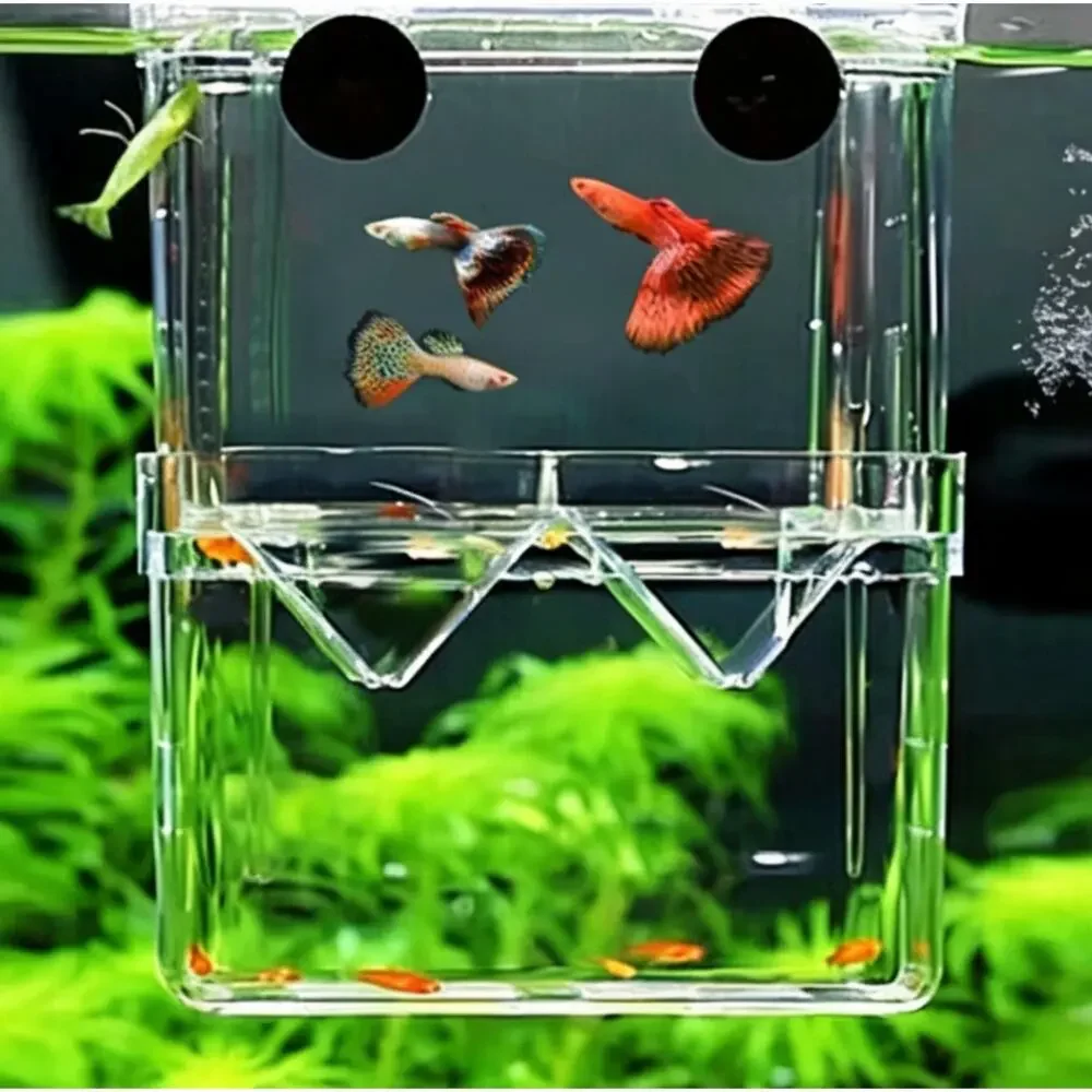 Aquarium Fish Breeding Box, Double‑Layer Acrylic Isolation Hatchery Suction Cups